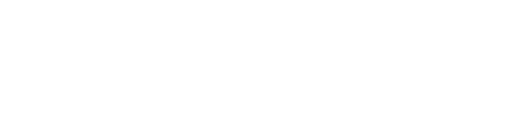 Copy of SEDDI-Logo_White
